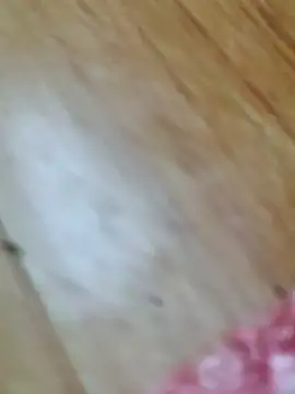 Snapshot of Markroco696 chatting on 10.18.25 Markroco696 online show from 10.18.25