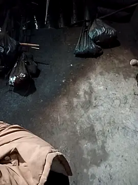 Snapshot of _Helala_ chatting on 02.02.26 Helala online show from 02.02.26