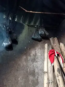 Snapshot of _Helala_ chatting on 02.26.26 Helala online show from 02.26.26