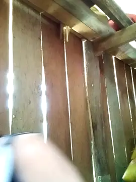 misa 00 online show from 04.06.26