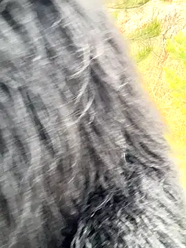 Snapshot of desiredude9 chatting on 11.01.25 desiredude9 online show from 11.01.25