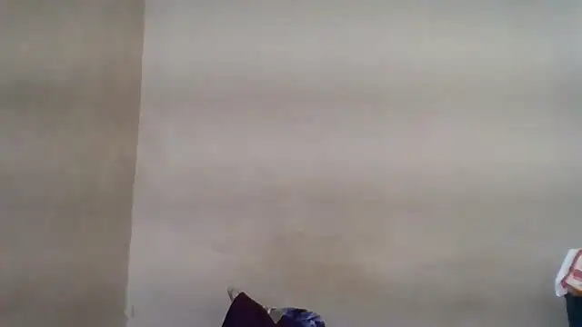 Snapshot of Vaani_Singha chatting on 06.04.26 Vaani Singha online show from 06.04.26