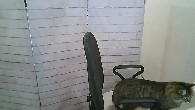 Helen xi  online show from 01.13.26