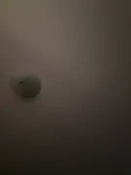 Troydaddy578 online show from 04.01.26