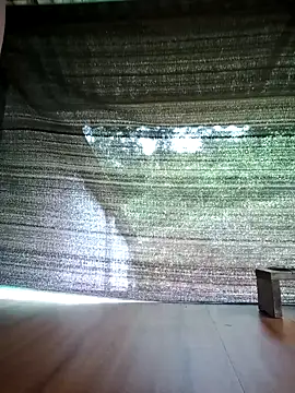 Georgia here online show from 10.05.25