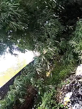 onlymasti00 online show from 11.04.25