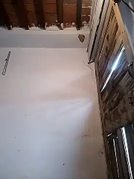 PunjabiSardarBull online show from 03.19.26