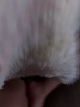 erokami36 online show from 02.05.26