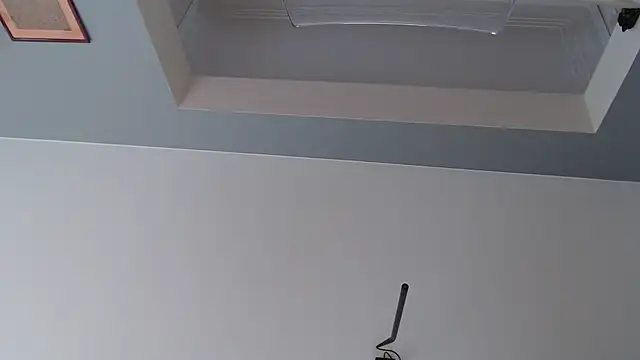 knodli online show from 10.21.25