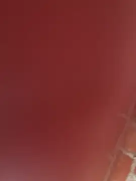 Snapshot of RAKEL37 chatting on 11.23.25 RAKEL37 online show from 11.23.25