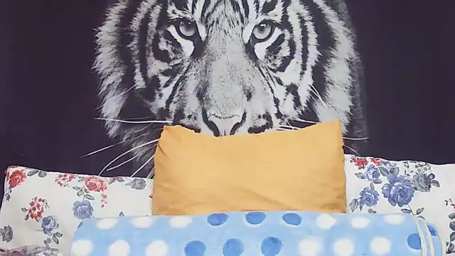 SweetPortableAmber online show from 03.17.26