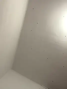 davidxxx099 online show from 11.22.25