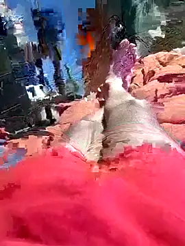 QJHoElyking online show from 10.10.25