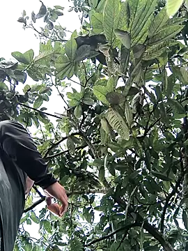 Snapshot of lamejorpene chatting on 02.05.26 lamejorpene online show from 02.05.26