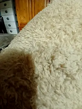 Ahalm online show from 11.16.25