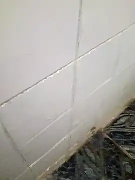 kelvinjesus34 online show from 10.19.25