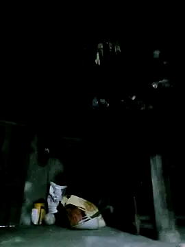 ngan-cute online show from 12.16.25