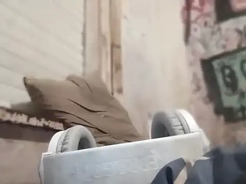 MYM69 - online show from 03.08.26