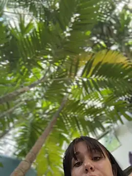 VendiMur online show from 03.22.26