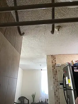 kattytamil online show from 10.02.25