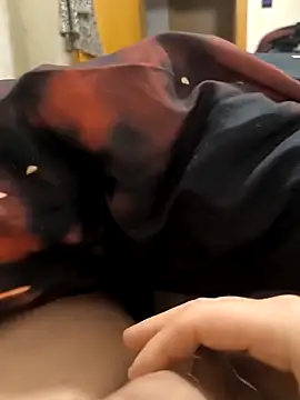 Snapshot of Leahcim84 chatting on 12.04.25 Leahcim84 online show from 12.04.25