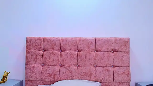 Snapshot of Ares_Alpha chatting on 11.06.25 Ares Alpha online show from 11.06.25