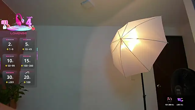  online show from 12.01.25