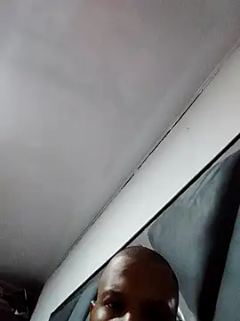 Perropa online show from 02.25.26