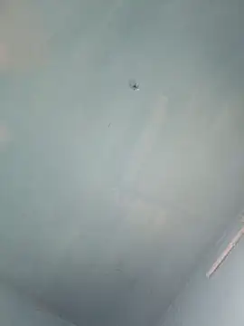 xyz-indian online show from 10.05.25