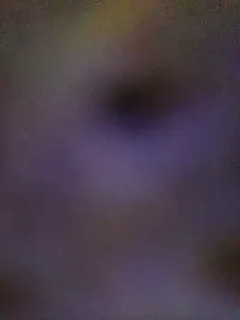 sadhna200 online show from 10.05.25