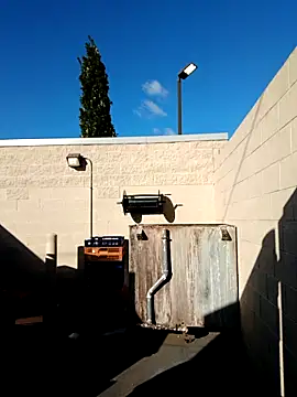 Dropdingo online show from 10.19.25