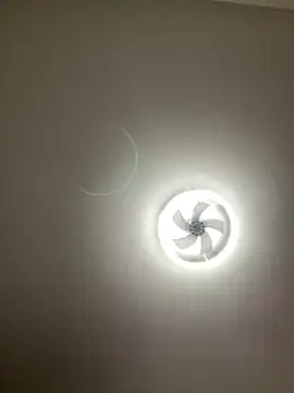 lionr0660 online show from 02.25.26