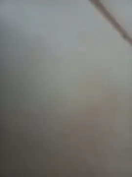 Jobson40 online show from 11.01.25