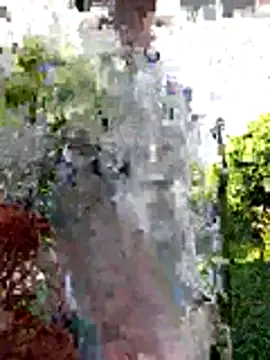 AlphaAlterX online show from 12.20.25