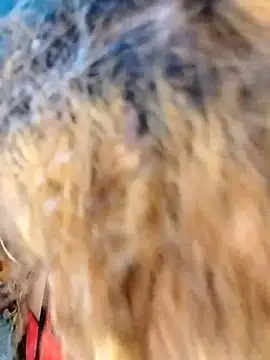 Snapshot of hemilynthomas2467 chatting on 02.01.26 hemilynthomas2467 online show from 02.01.26