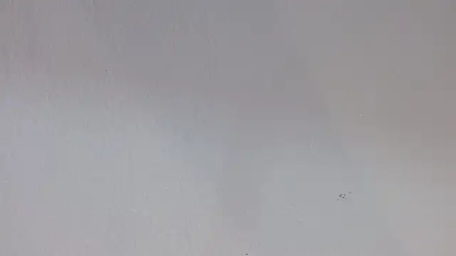 kiity horny  online show from 09.30.25