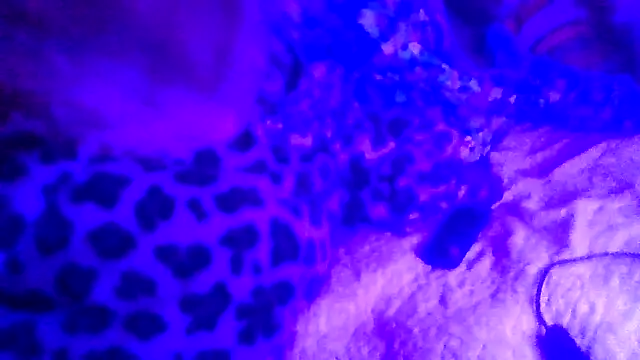 prettymaa online show from 02.19.26