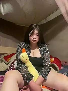 ha-cute online show from 02.27.26