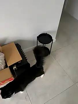 aussiepeaches online show from 04.06.26