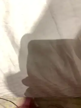 P44698 online show from 03.11.26