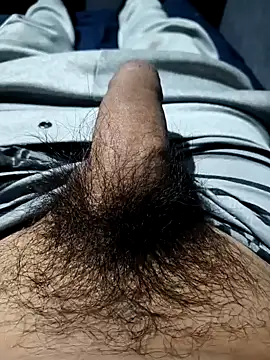 Snapshot of Aaia93 chatting on 11.03.25 Aaia93 online show from 11.03.25