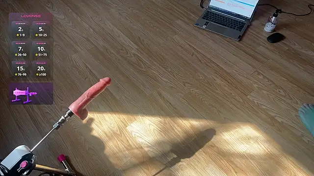 femboydani x online show from 04.08.26