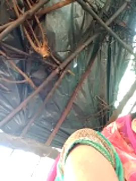 Snapshot of H_seema chatting on 04.12.26 H seema online show from 04.12.26