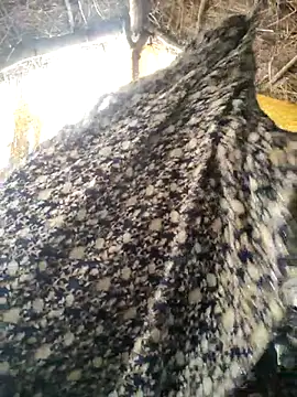 LUCKY cut online show from 10.20.25