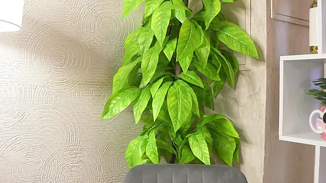 MarlinVarian online show from 09.09.25