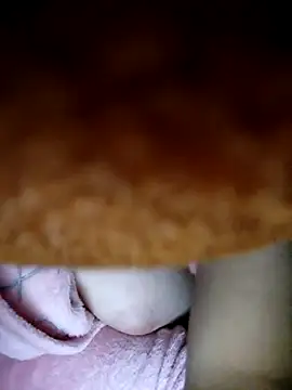 CHahed-5 online show from 01.07.26