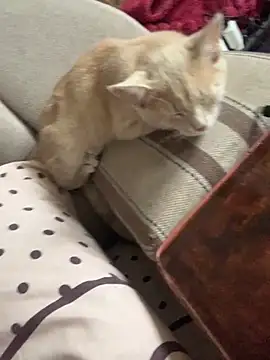 ksenia123 online show from 09.24.25