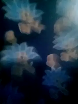 Snapshot of your_favourite_bhabhi chatting on 11.02.25 your favourite bhabhi online show from 11.02.25