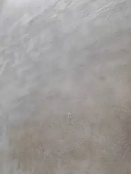 ritwesh online show from 10.12.25