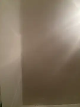 SophiiaStarr online show from 02.17.26